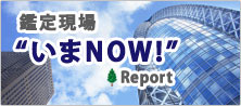 鑑定現場　”いまNOW!” Report